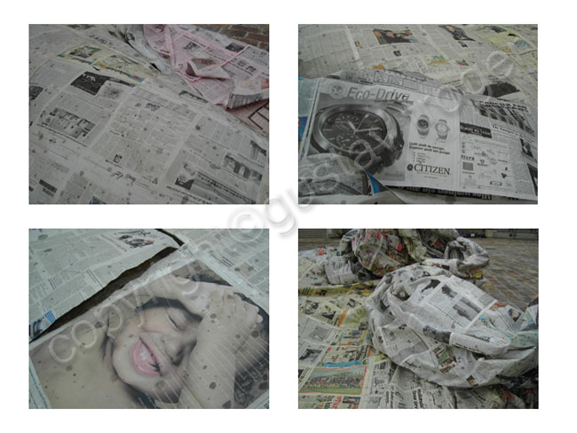 dekorvorrichtung.009